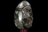 Septarian Dragon Egg Geode - Black Crystals #98876-2